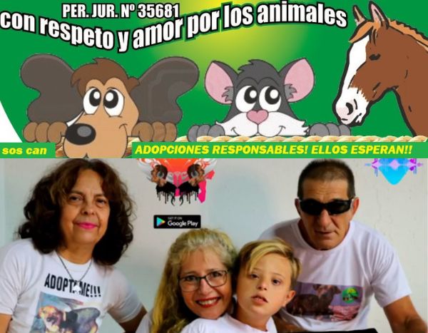 Asociación protectora de animales