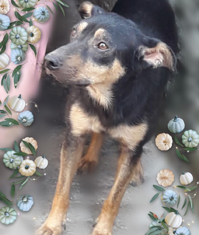 responsabilidad social empresaria